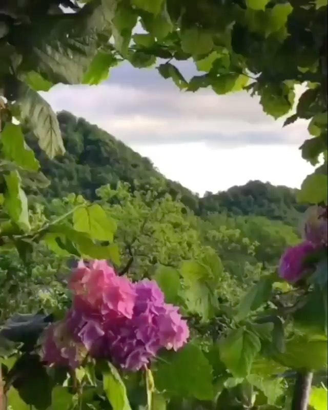 miladora_mari в LOOKY. . 🤲🏼🤲🏼🤲🏼🍀🍀🍀