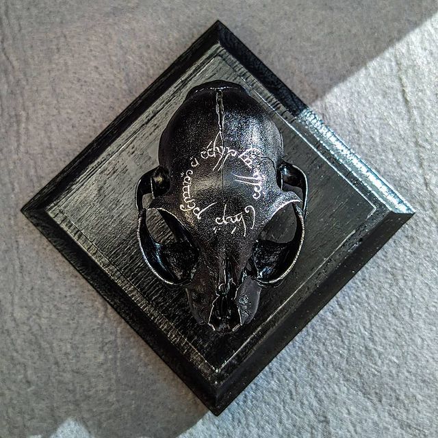 oleg_lll_ in LOOKY. #gothicart,#gothic,#gothiccrafts,#gothichomedecor,#art,#artist,#bonesart,#bones,#cat,#craft,#hendmadedecor,#handmade,#decor,#photo,#portraitphotography. Вот ещё одна работка...