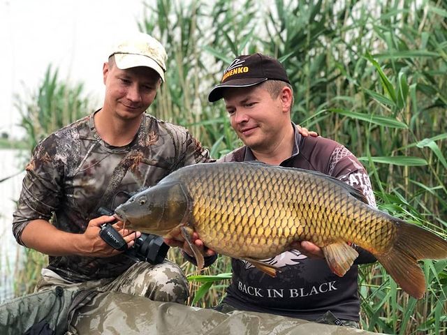 yug_fishing в LOOKY. #рыбалка,#краснодар,#кубань,#природа,#путешествия,#рыба,#карпфишинг,#carpfishing. Половили🎣 поснимали...
