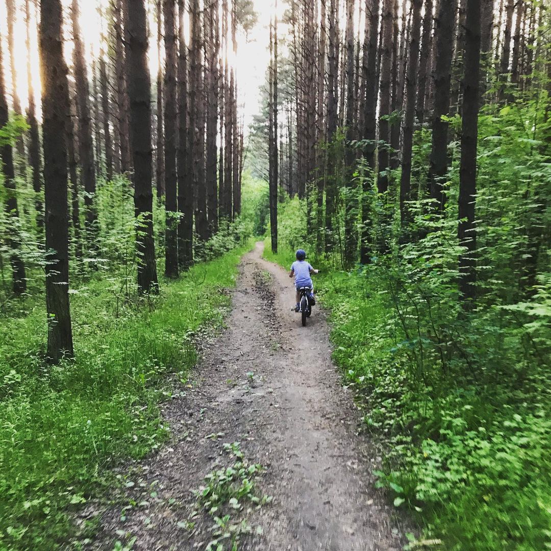 Идеальное лето#лес#тишина#комарызвери