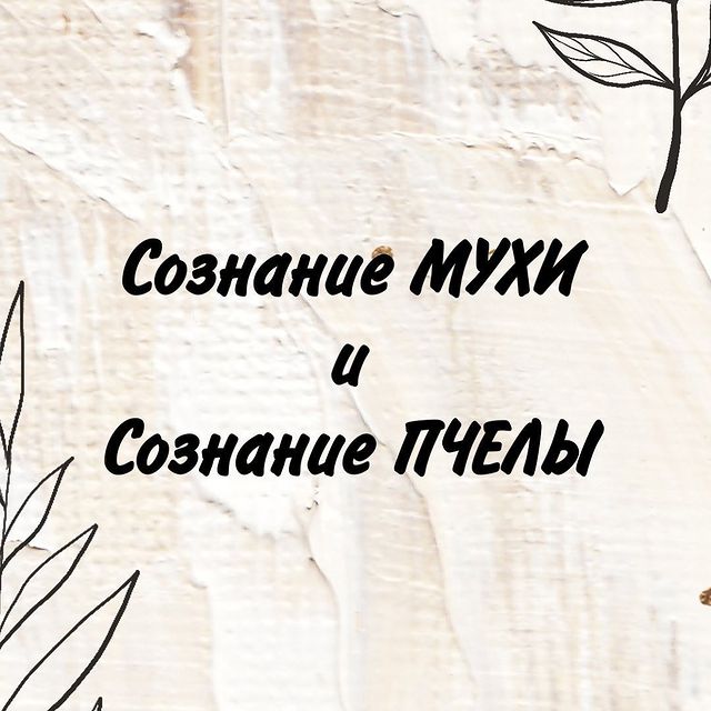 sirichenko__vera в LOOKY. . Несколько дней наза...