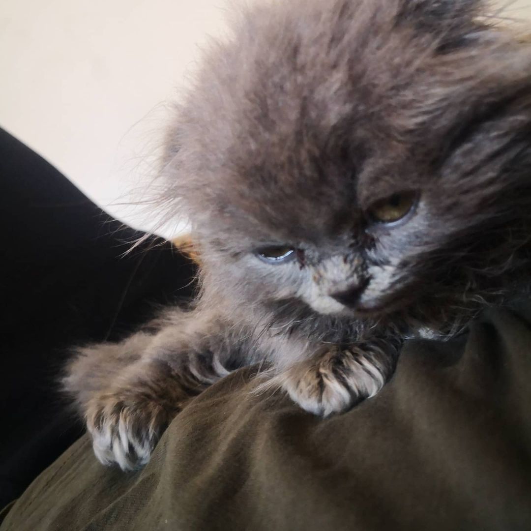 salibag в LOOKY — публикация