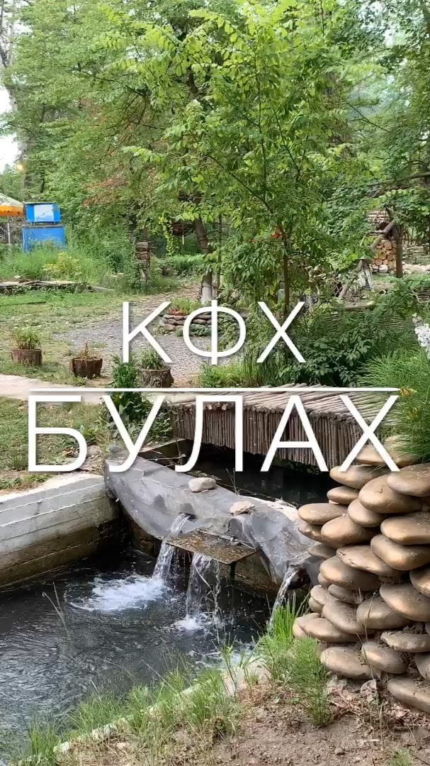 tamza_tumanami в LOOKY. . Подарит вам незабыва...