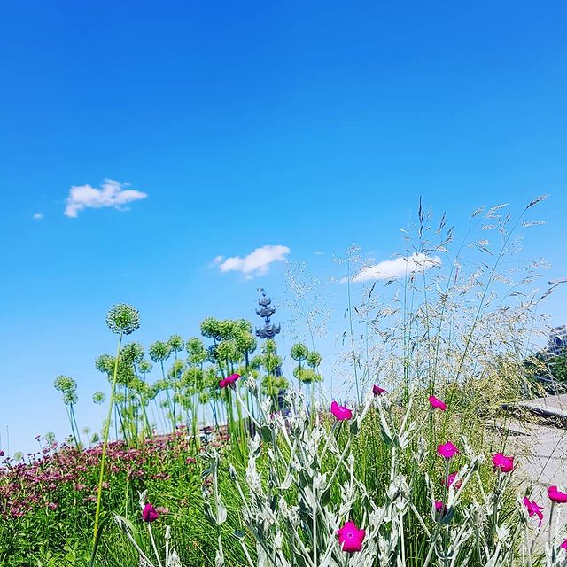 aciduzu_ в LOOKY. . null