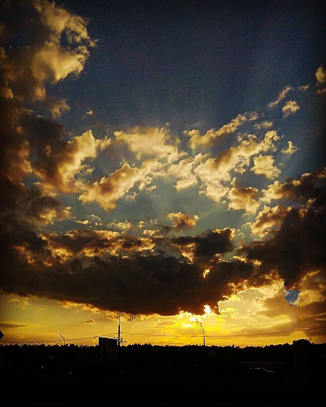 phoenix_sd1 в LOOKY. . null
