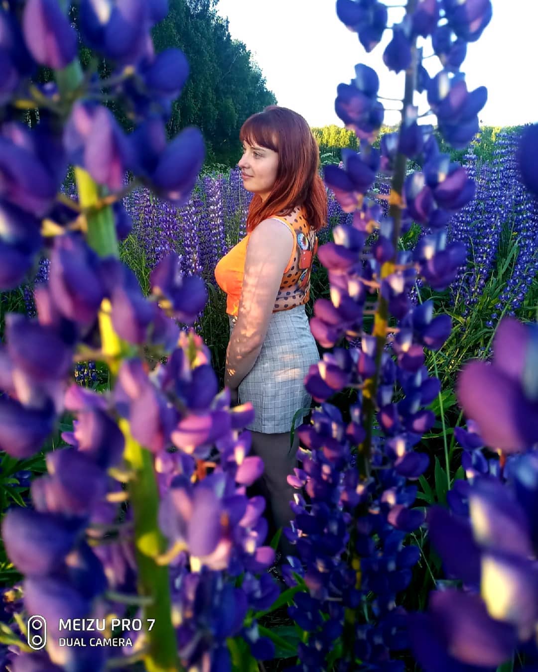 pudovalina95 в LOOKY. #цветы#поле#полесцветами#природа#красота. Жизнь похожа на фото...