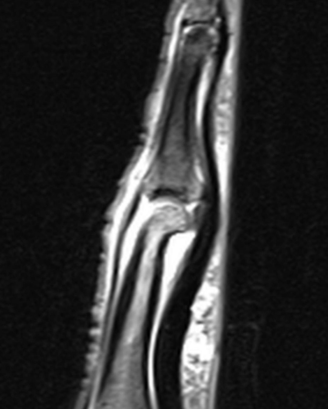 russianradiology в LOOKY — фото 5
