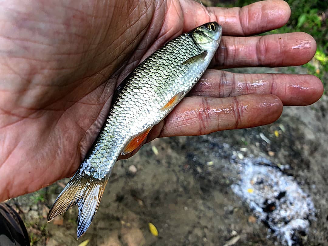 _k4k_angler в LOOKY — фото 2