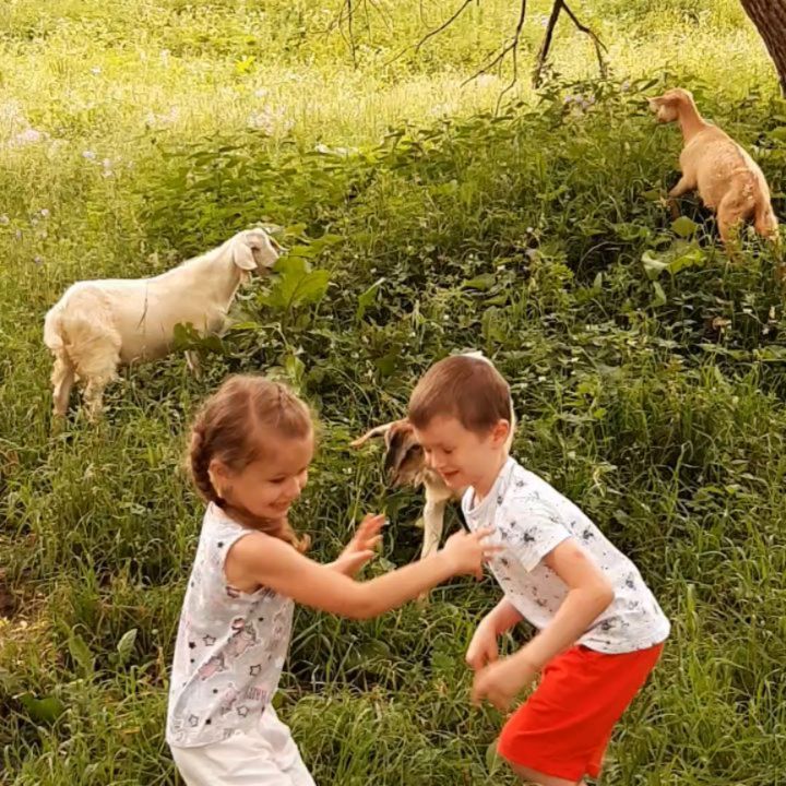 vadimapx в LOOKY. . Страшные звери водят...