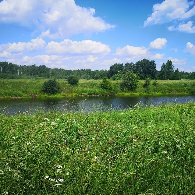 valkin.79 в LOOKY. . null
