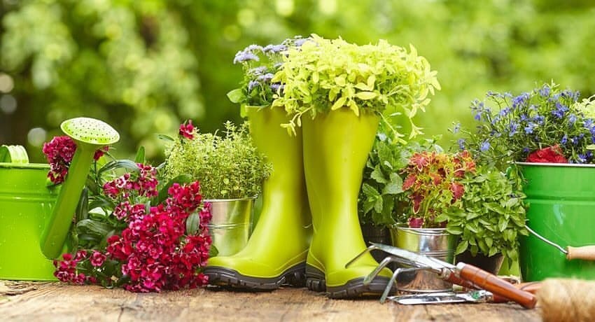 🌻🍓🍀 Дачный сезон набирает обороты и мы приглашаем вас на Онлайн -Марафон «ДАЧНЫЙ СЕЗОН» с 1-6 июля
⠀
🌞🌻🌞🌻 Чтобы в дачный сезон ваша СПИНА оставалась здоровой-
⠀
• Упражнения на расслабление спины и позвонков, плечевого сустава.
⠀
• Чем помочь опорно-двигательному аппарату? - Миофасциальный релиз.
⠀
•Упражнения для правильной работы стопы (чтобы не болела спина).
⠀
Видео- тренировки с подробными пояснениями от
Фитнес -тренера  Екатерины Кочеровой с опытом работы 6 лет.
⠀
🌞🌻🌞🌻 От эксперта по Тибетской медицине и иструктора Йоги Юлии Орловой вы узнаете, как в дачный сезон с помощью дыхательных упражнений
⠀
- стабилизировать давление
⠀
- нормализовать сердечный ритм.
⠀
- и как быстро вернуть энергию  и работоспособность после физической нагрузки!
⠀
🌞🌻🌞🌻 В летнее время чаи - наши надёжные помощники.👍 Галина Баркова, бариста в кофейне
«Париж», с опытом работы 4 года.
⠀
Параллельно работает с чаями.
И как начинающий титестер владеет техникой  заваривания чая и его подачей.
⠀
С удовольствием поделится  с вами своими знаниями и опытом!
⠀
🌞🌻🌞🌻
Чтобы энергии хватило и на огород, и на отдых - продукция Siberian Wellness- поможет вам дачный сезон завершить не только с хорошим урожаем, но и с отличным здоровьем! 💯
⠀
💥 Наши эксперты расскажут вам о самых ТОП-овых продуктах в дачный сезон!
⠀
🤗Присоедииняйся🤗
Уже скоро начинаем!
✍️Пиши в директ!
⠀
#дачныйсезон