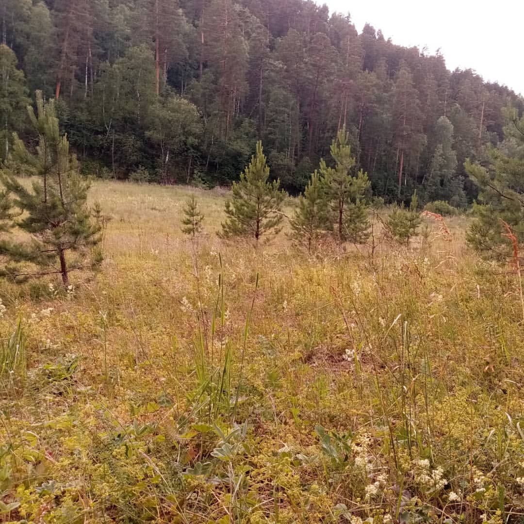 natylia2806 в LOOKY — фото 7