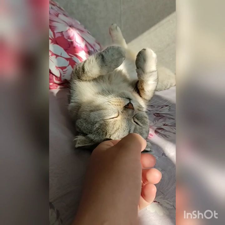 Кайфули)