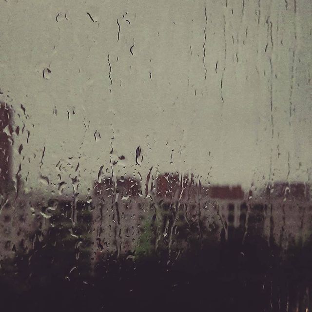 shinobi_koe в LOOKY. #лето,#июль,#природа,#дождь☔️,#летнийдождь,#дождик,#москва,#каплинастекле,#видизокна,#облака,#тучи,#summer,#rain,#july,#summerrain,#itsraining,#moscow,#nature,#raindrops,#слушайдождь,#raindropsonthewindow,#instadaily,#russia,#clouds. Смотреть дождь.
Слуш...