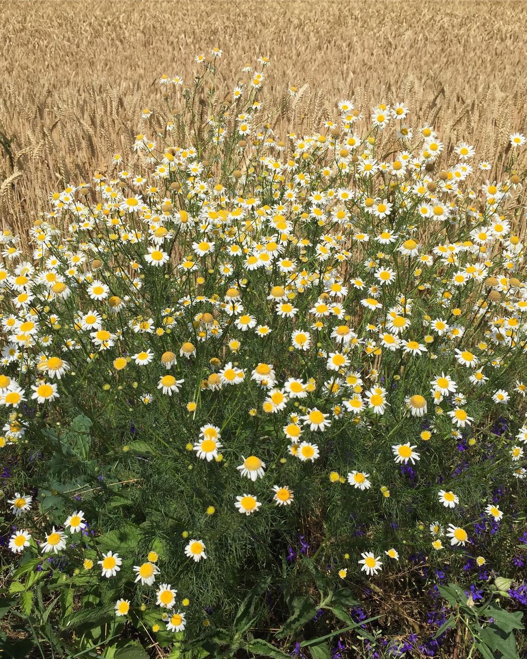 yuliashchadnykh в LOOKY — фото 8