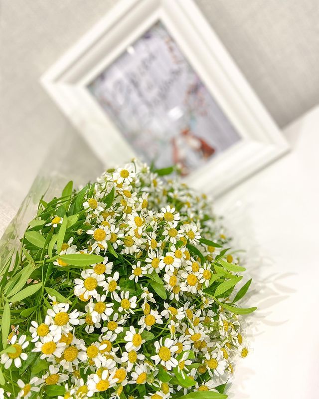 daria__basova в LOOKY. #Flower,#Plant,#chamomile,#Yellow,#Floweringplant,#Spring,#Bouquet,#Wildflower,#Cutflowers,#Annualplant,#Цветок,#Завод,#ромашки,#Желтый,#Цветущеерастение,#Весна,#Букет,#Уайлдфлауэр,#Срезанныецветы,#Однолетнеерастение,#Цветочныйдизайн,#деньсемьи. Только недавно я осо...