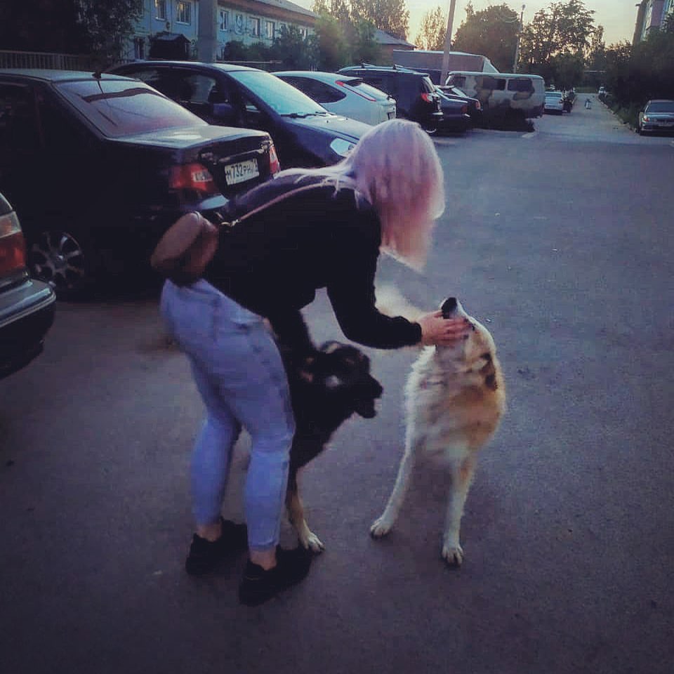 katrin_alexsa в LOOKY — Собака лучший друг человека, поэтому у меня кот🐱