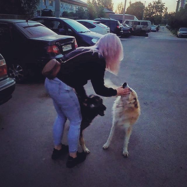 katrin_alexsa в LOOKY. . Собака лучший друг ч...