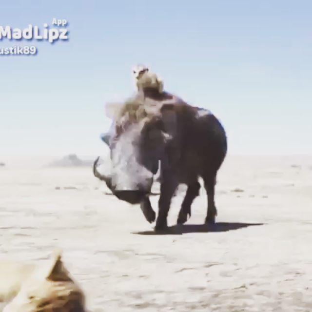 wasiliimorozov в LOOKY. . Немного позитива