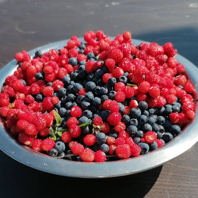 kseniya221201 в LOOKY. . На смену землянике п...