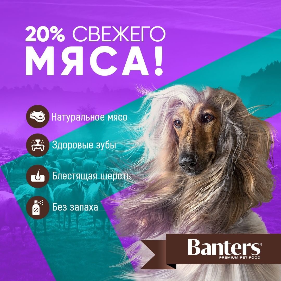 d_e_s_i_g_n_creator в LOOKY — #дизайн_групп_вконтакте #оформление_групп #дизайн #веб_дизай