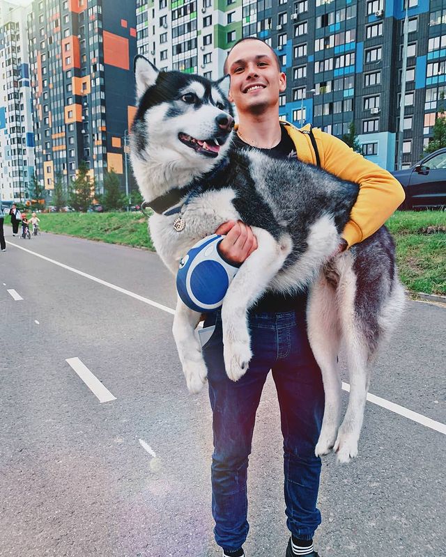 victor.migachev в LOOKY. . null