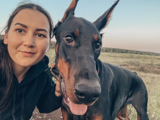 sv_vn_ в LOOKY. #доберман#неуловимаяморда#прогулкивполе#doberman#dobermaninstagram#arlenrus. Отпути, кому говорю ...