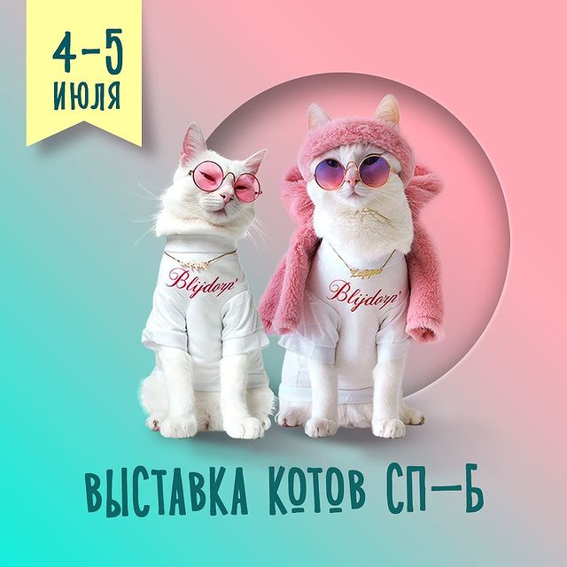 d_e_s_i_g_n_creator в LOOKY. #оформлениинстаграм#дизайнсоцсетей,#дизайнлендинга,#баннеры,#дизайнбаннеров. Моя итоговая работа ...