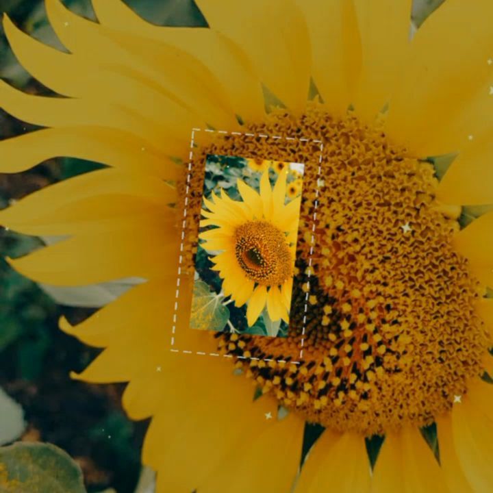 tori_rayder в LOOKY. . Счастлив тот, кто мо...
