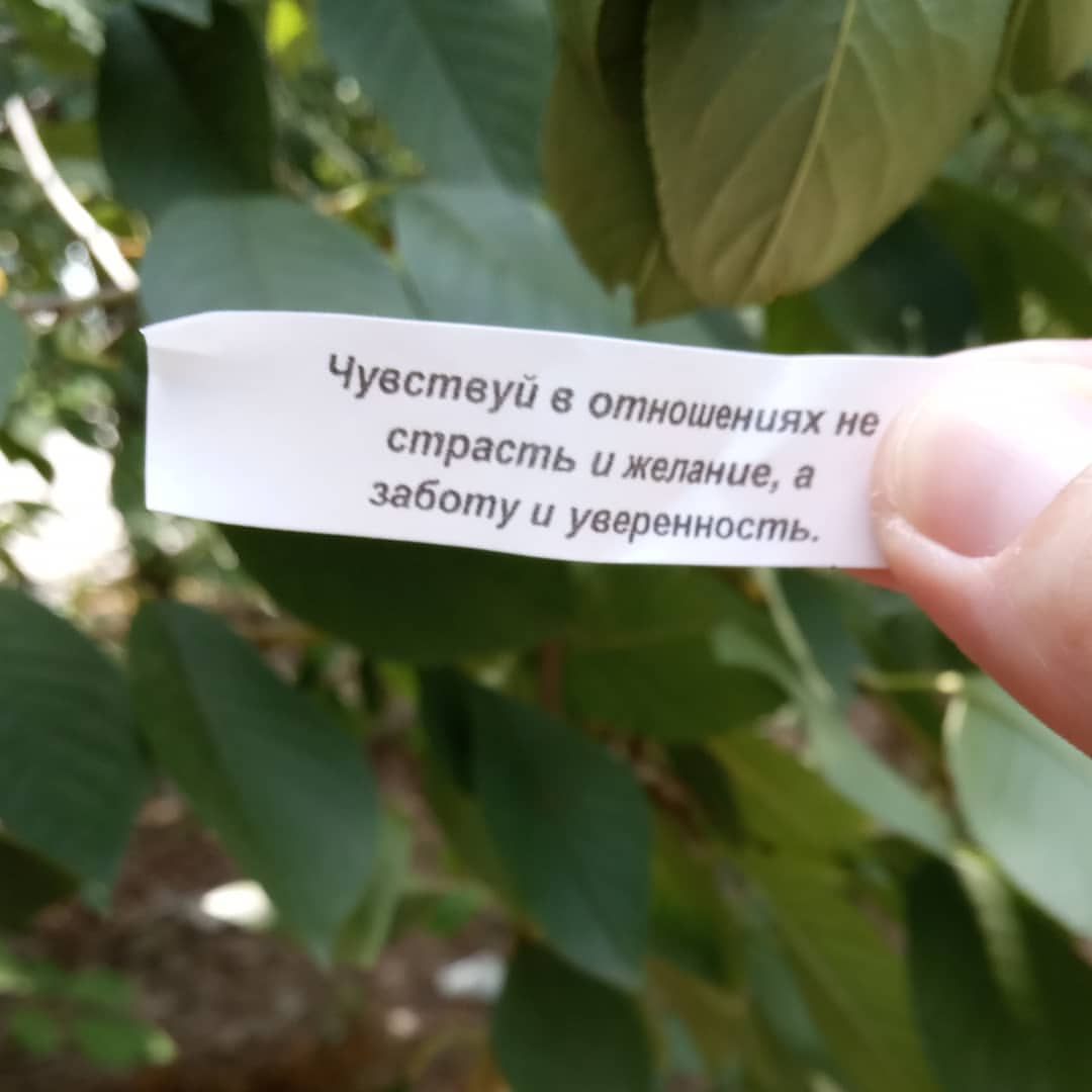 mariya_smetanina в LOOKY — Давно не было рубрики #говоритпеченька 

Внезапно вот.