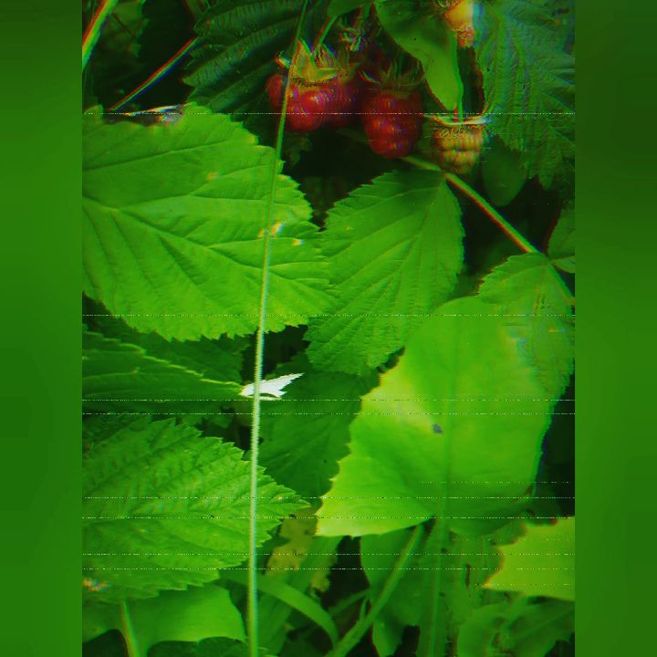 oykinak in LOOKY. #выходные#лето2020♥️. #выходные#лето2020♥️