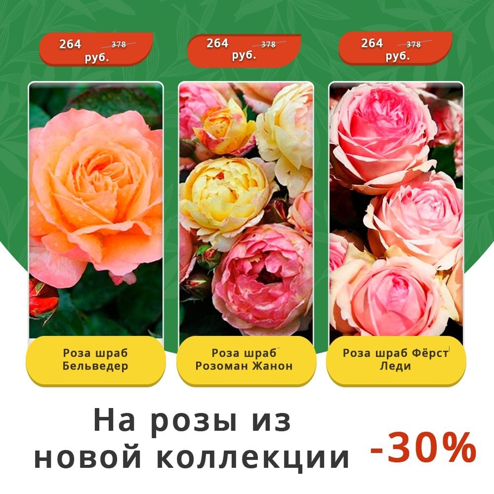 gardenmart24.ru в LOOKY — фото 5