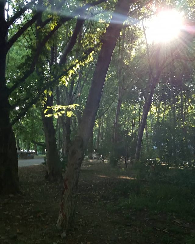 mariya_smetanina в LOOKY. #жизнькакчудо. #жизнькакчудо