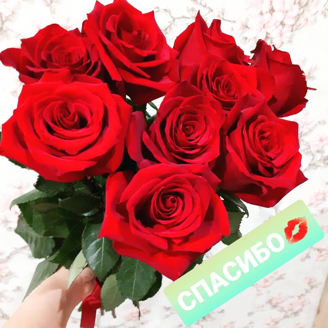 albina7421 в LOOKY — публикация