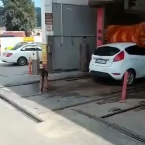 osubochev в LOOKY. . null