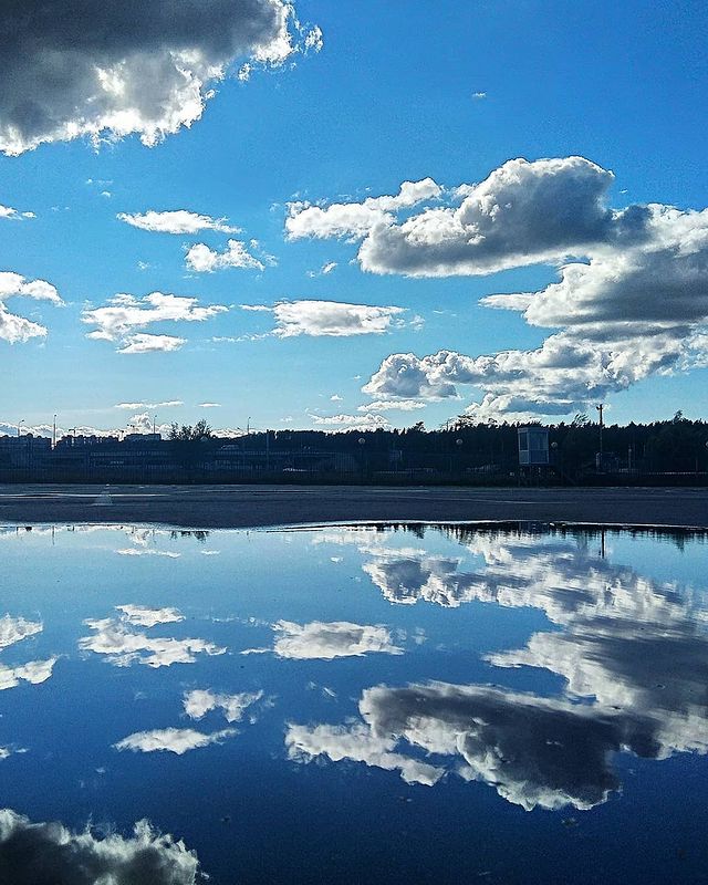 phoenix_sd1 в LOOKY. . null