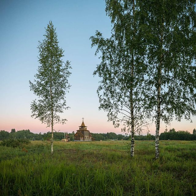 photo_mihalych в LOOKY. #instagramrussia,#naturegeography,#russia_img,#natureofrussiaru#best_worldplaces,#wonderfuldestinations#worldbestgram,#worldbestplace,#loves_united_europe#loves_united_russia,#instarussia,#russiafoto,#russia_global#russiamylove,#img_russia,#russiandiary,#russia,#rus_places#russiaonline,#topvscorussia,#russia_ig,#russia_ww,#Sunset#sunset_pics,#SunsetsRussia#russiantravelguide,#russia_pics,#picture_to_keep,#krasivaru,#tv_foggy. Березки. В ранний ча...