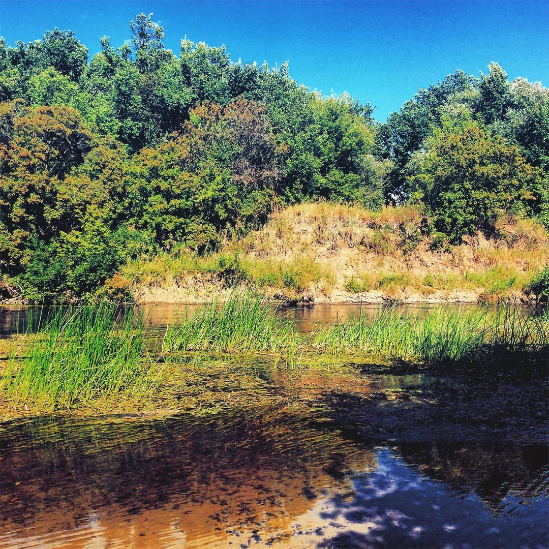 🏞 #iphoneonly #nature #adventure #river