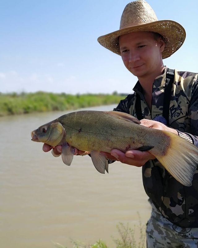 yug_fishing в LOOKY. #рыбалка,#рыбалка2020,#краснодар,#кубань,#краснодарскийкрай,#отдых,#путешествия,#природа. Ловля Линя на мах 🎣...