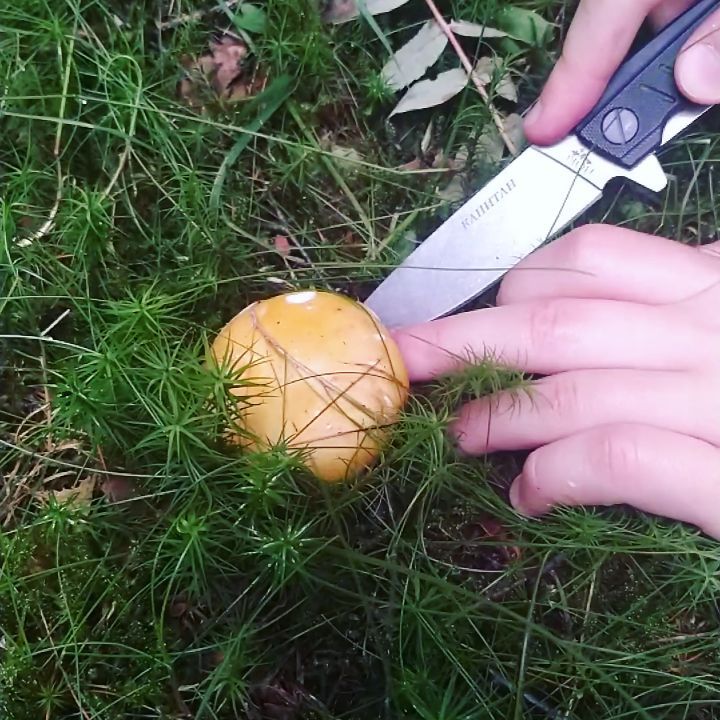 otzovika в LOOKY. . Вика сходила в насто...