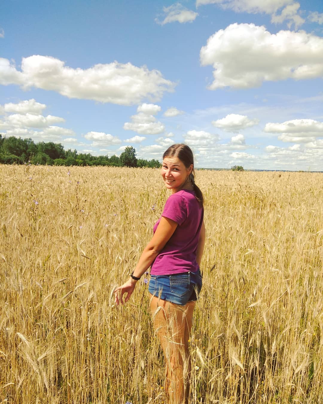 tanushka_shestova в LOOKY — #полюшко #🌾🌾🌾 #русскоеполе #колоски #колосья #полеколоско