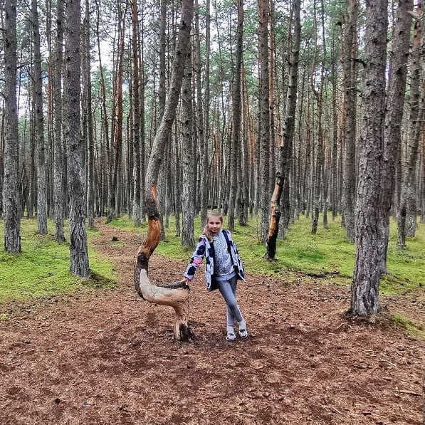 yulia_s747 в LOOKY — фото 4