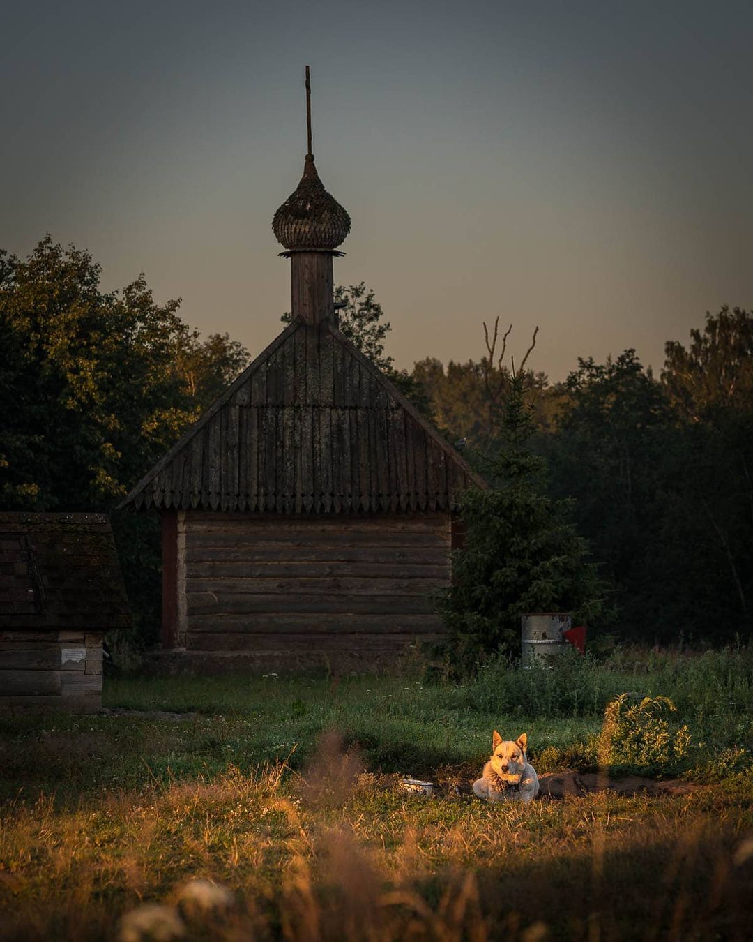 photo_mihalych в LOOKY — Верный страж
#собака #dog #dogs #собакадругчеловека #dogstag