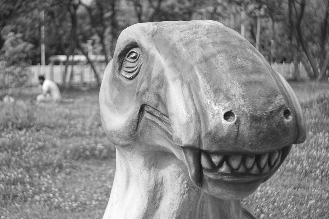 darkandnoirmood в LOOKY — фото 5