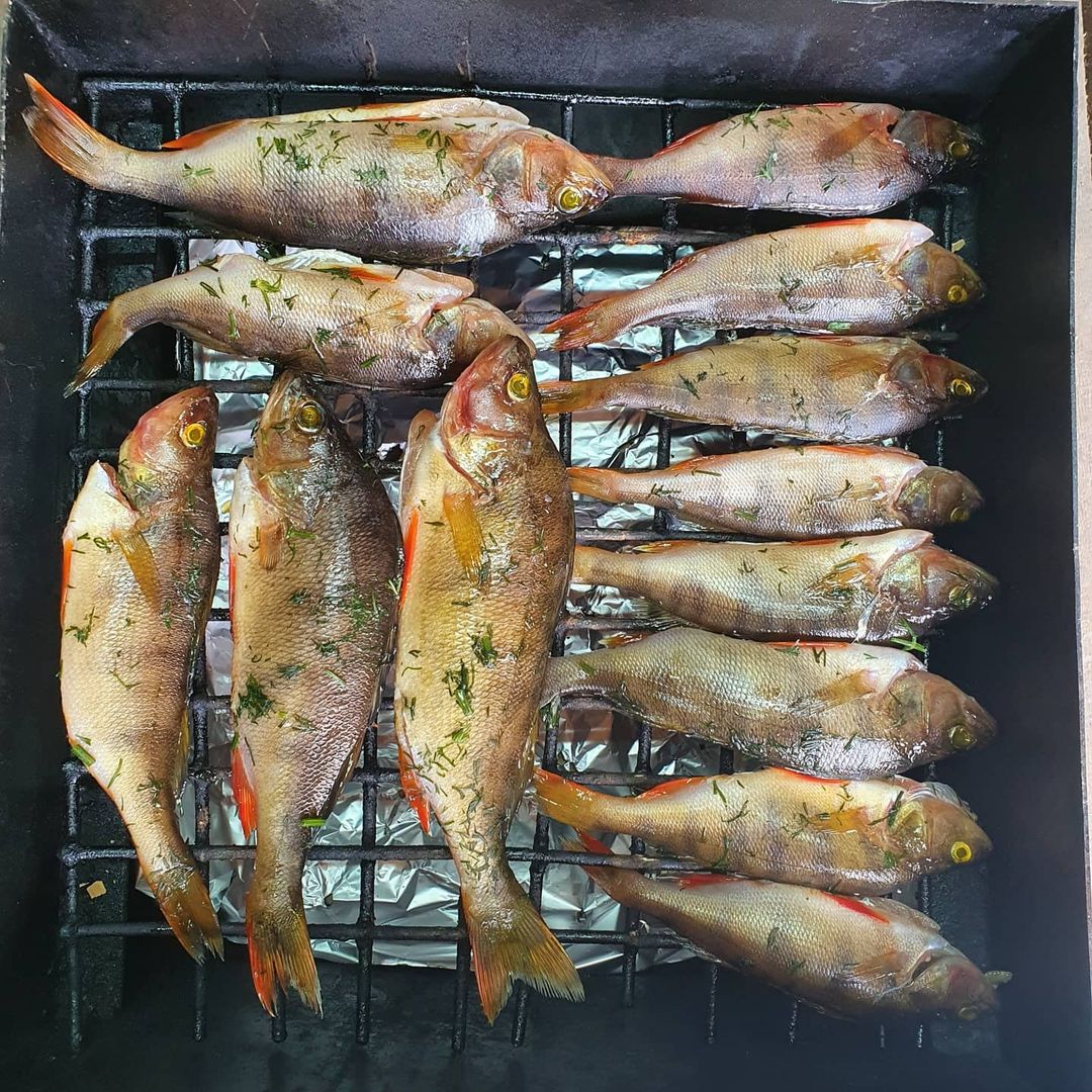 Коптим рыбку с братом 🐟🔥
#рыба #коптимрыбу #лето #рыбалка
