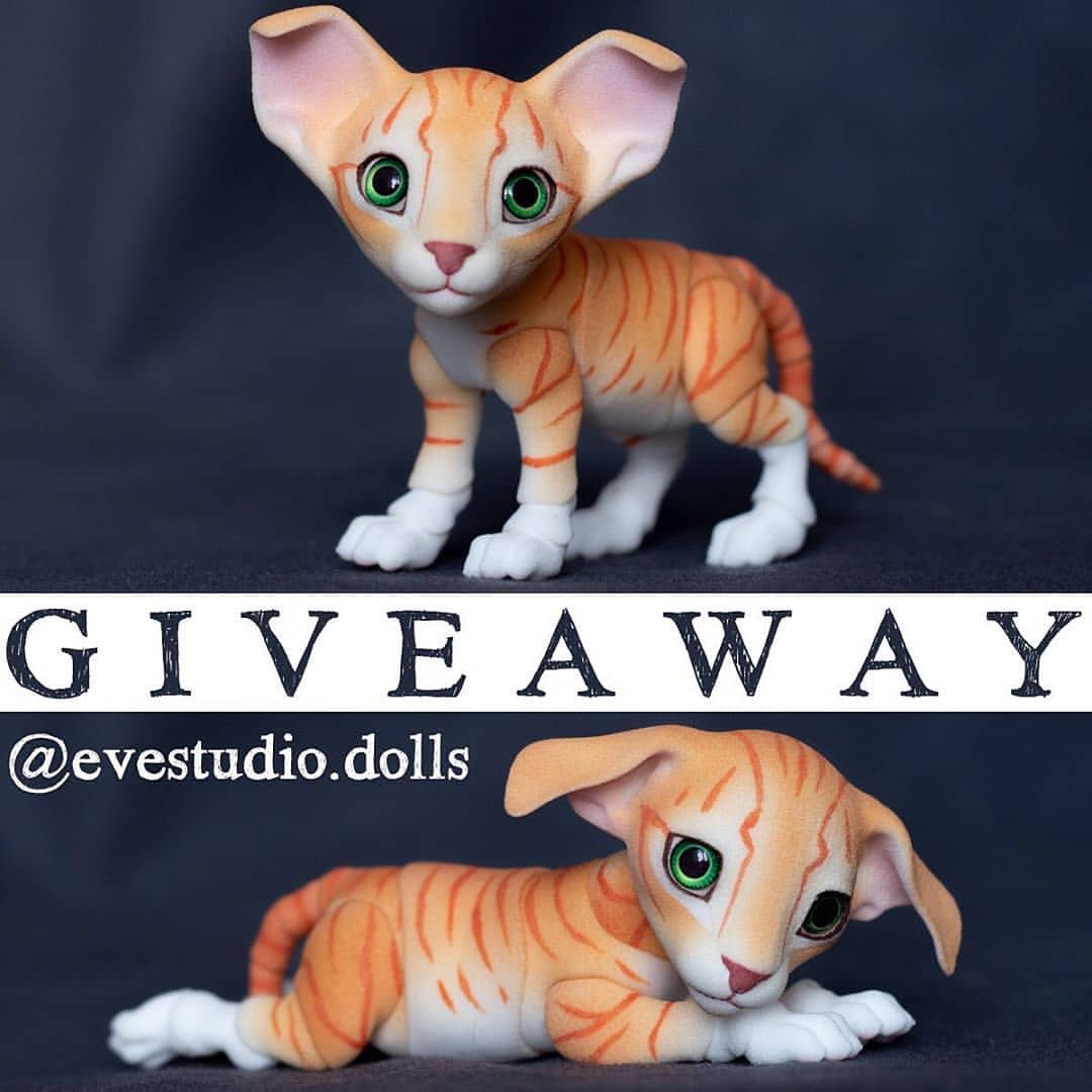 rigos2014 в LOOKY — 😽@evestudio.dolls  #evestudioguiveaway