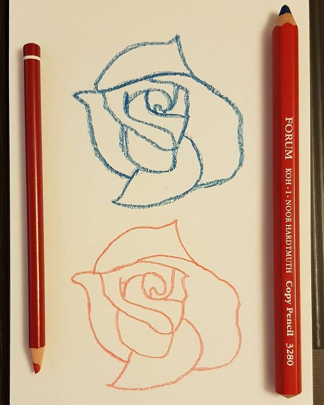 marykot27 в LOOKY. #watercolorsketchbook,#copyingpencil,#copypencil,#copypencilsketch,#kohinoor,#rose,#bluerose,#pinkrose. #watercolorsketchboo...