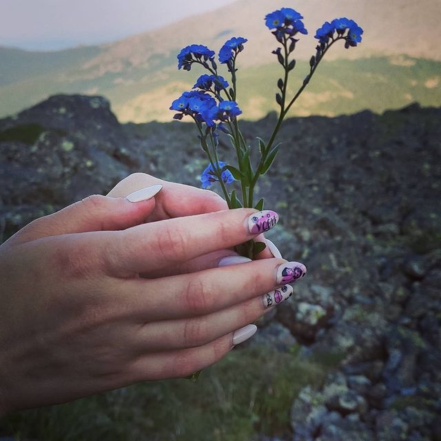 engian_emlv в LOOKY. #Незабудка,#Уральские_горы,#Конжаковский_камень,#Природа. #Незабудка #Уральски...