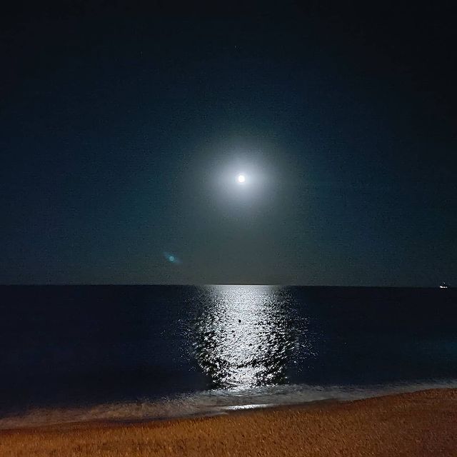 diman496 в LOOKY. . null