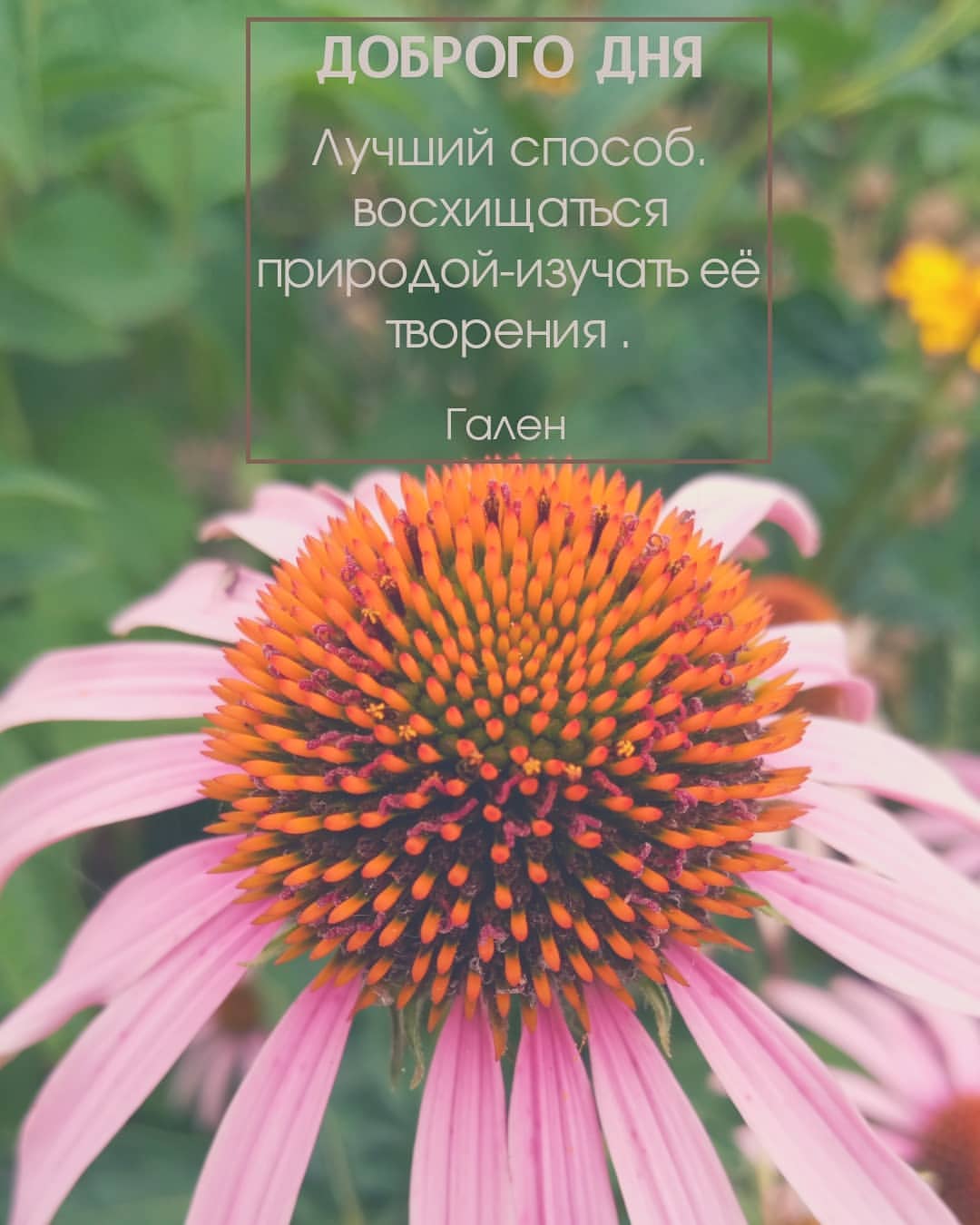 marina_ktn в LOOKY — НОВЫЕ ЗНАНИЯ

Хочу поблагодарить @djamiliaa_ за возможность 